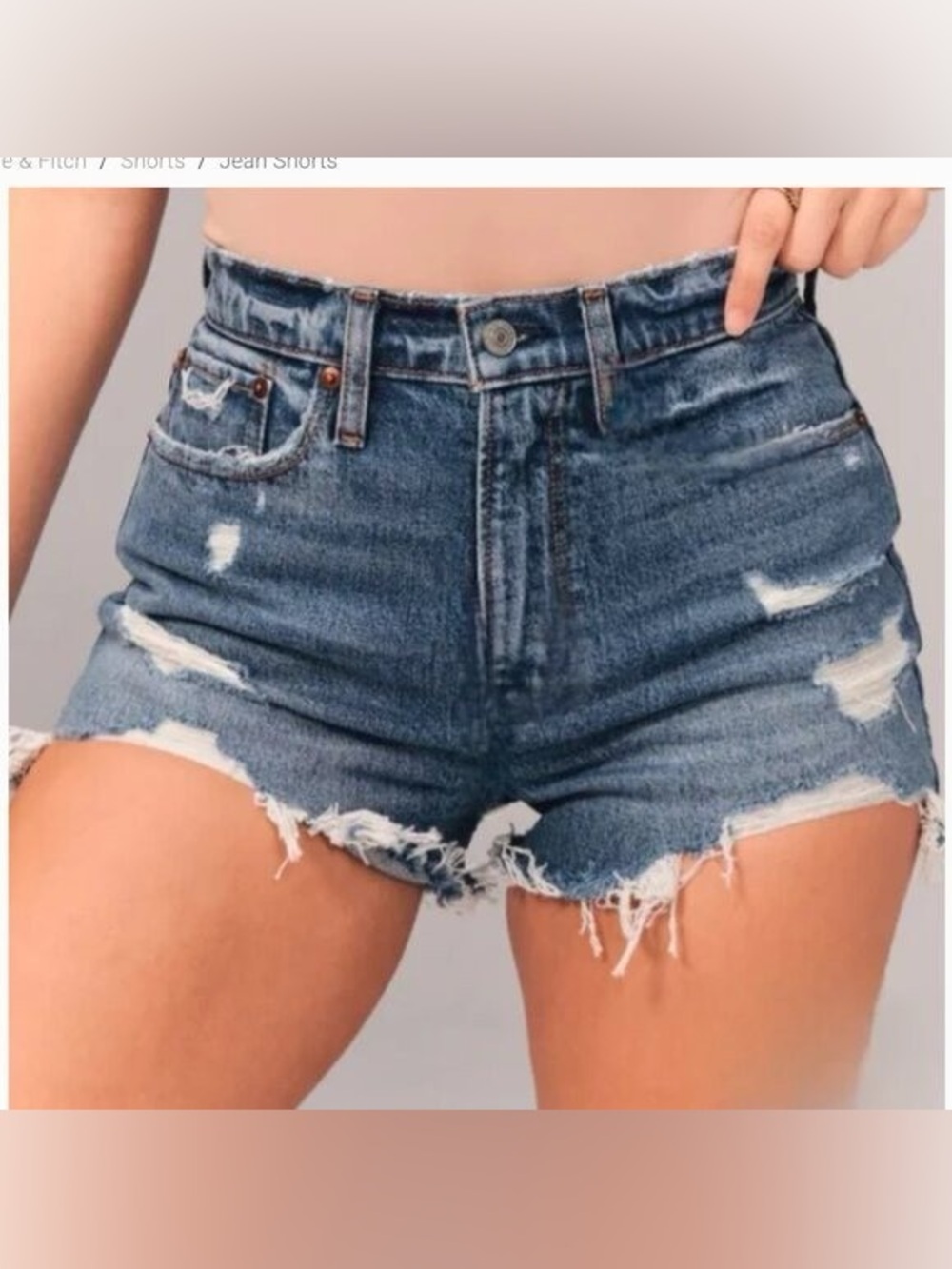 Abercrombie & Fitch The Mom Short Mid Rise